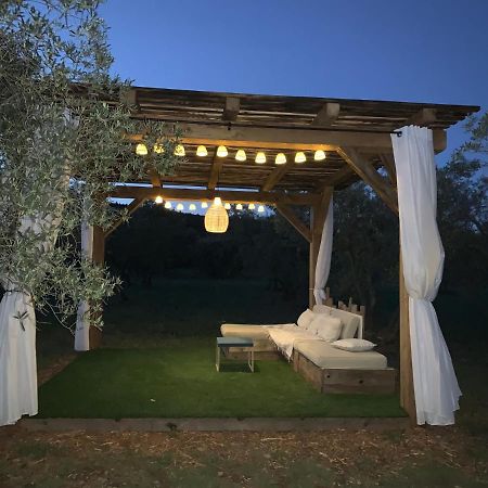 La Bergerie De Cigalon Bed and Breakfast Mouries Esterno foto