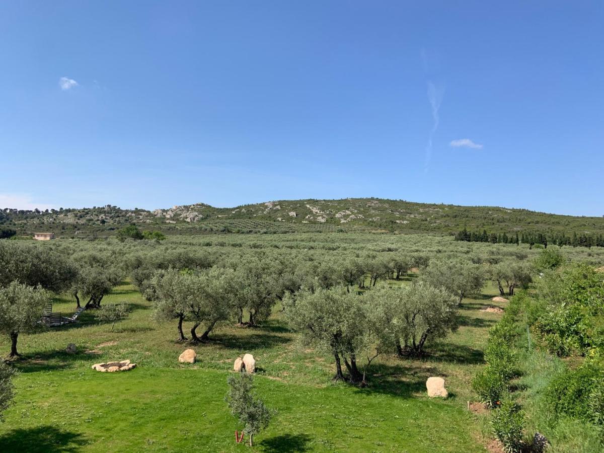 La Bergerie De Cigalon Bed and Breakfast Mouries Esterno foto