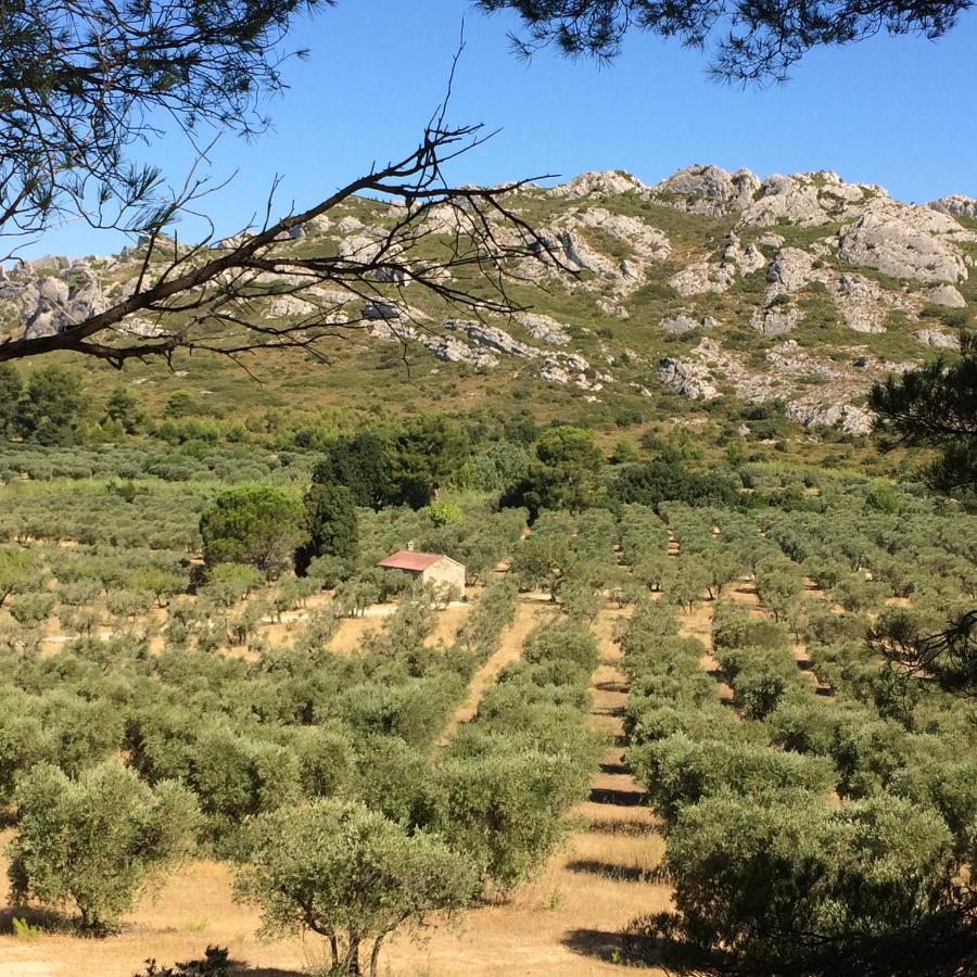 La Bergerie De Cigalon Bed and Breakfast Mouries Esterno foto