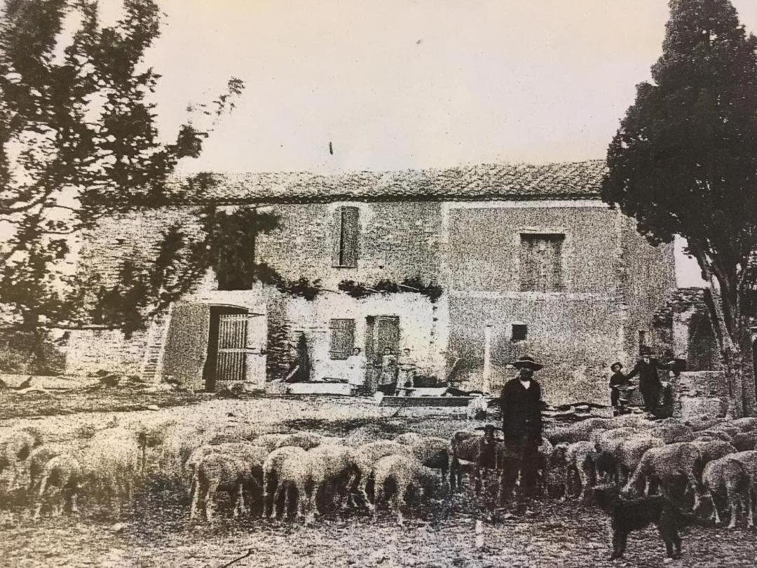 La Bergerie De Cigalon Bed and Breakfast Mouries Esterno foto