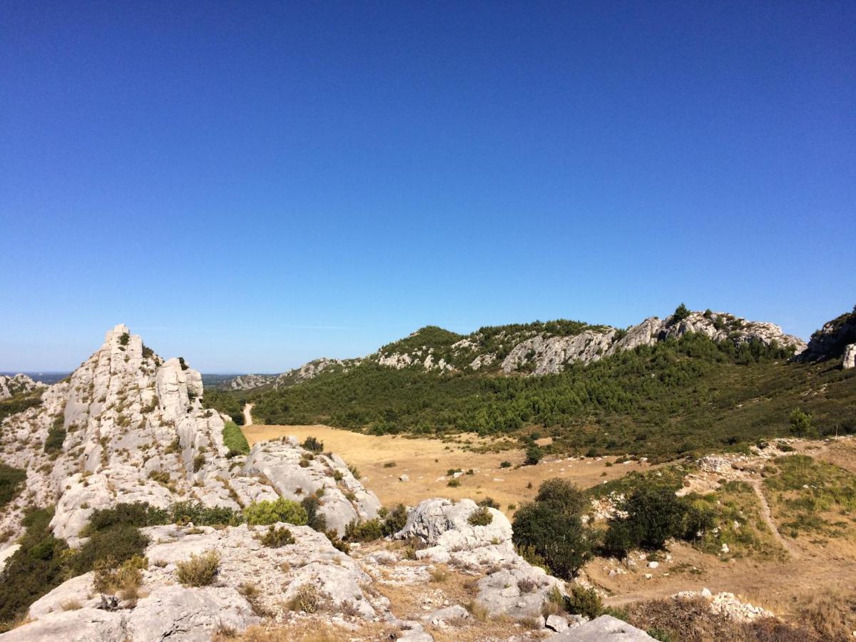 La Bergerie De Cigalon Bed and Breakfast Mouries Esterno foto