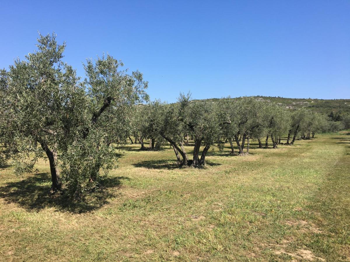 La Bergerie De Cigalon Bed and Breakfast Mouries Esterno foto