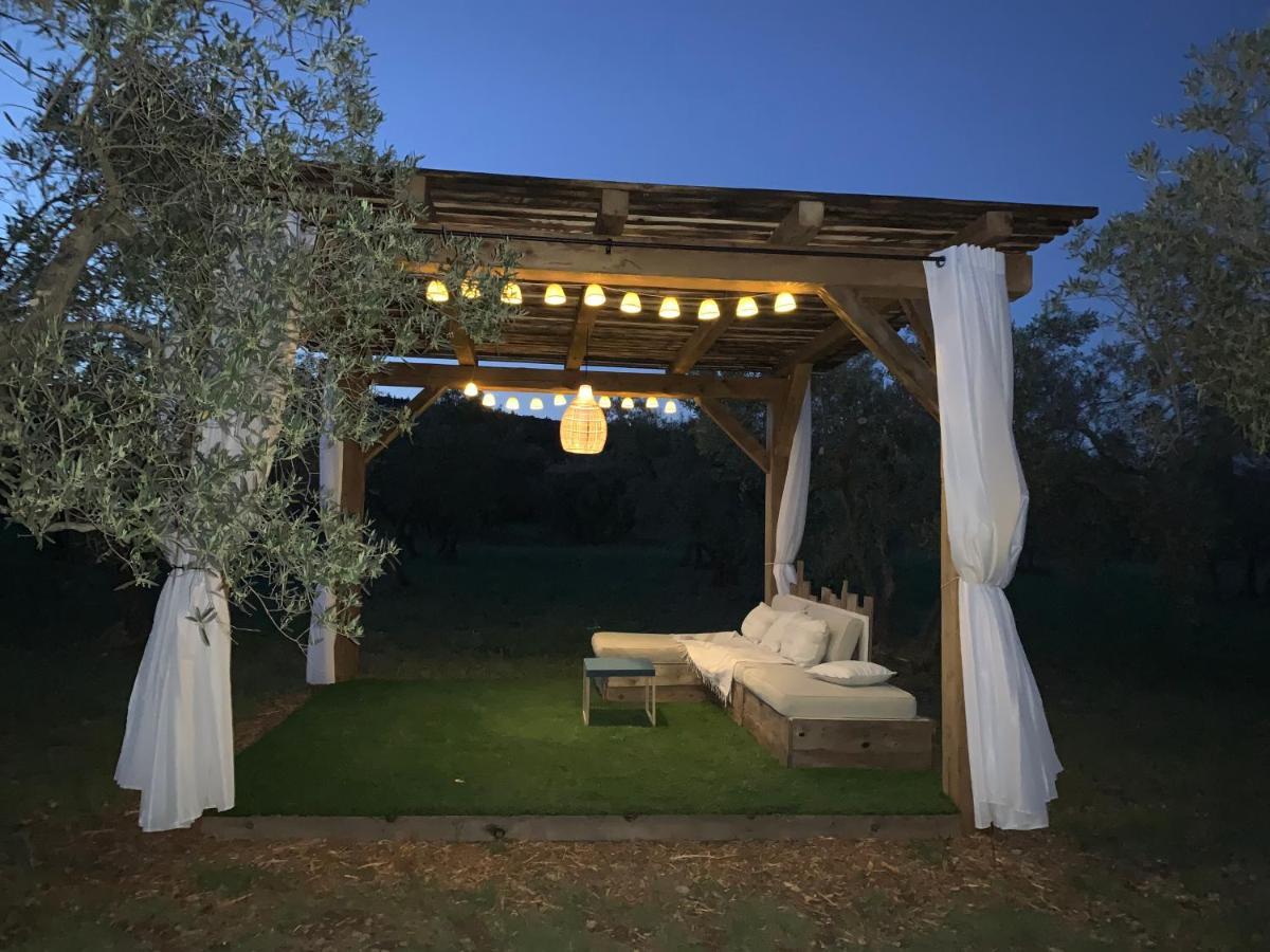La Bergerie De Cigalon Bed and Breakfast Mouries Esterno foto