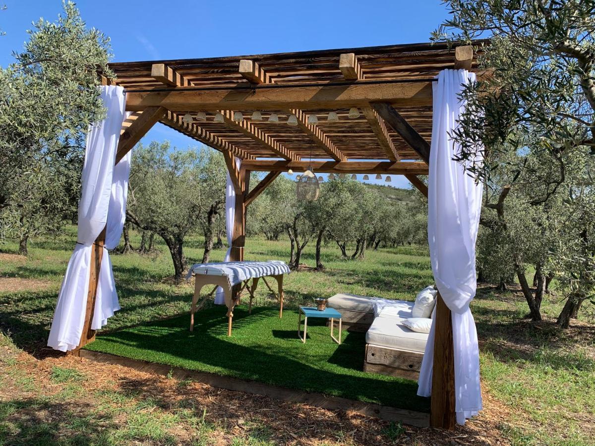 La Bergerie De Cigalon Bed and Breakfast Mouries Esterno foto