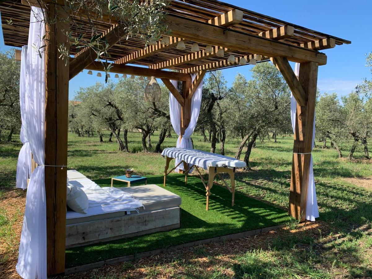 La Bergerie De Cigalon Bed and Breakfast Mouries Esterno foto